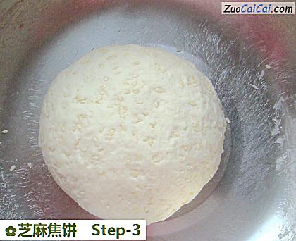 芝麻焦饼做法第三步骤