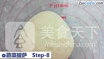 蔬菜披萨做法第八步骤