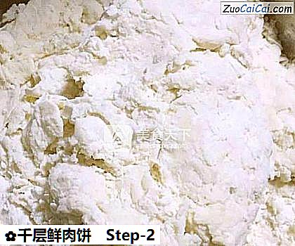 千层鲜肉饼做法第二步骤