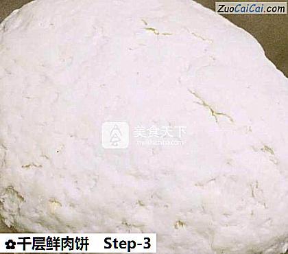 千层鲜肉饼做法第三步骤