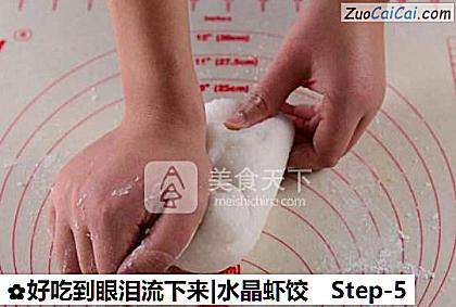 好吃到眼泪流下来|水晶虾饺做法第五步骤