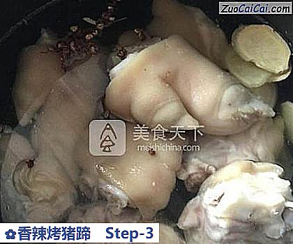 香辣烤猪蹄做法第三步骤