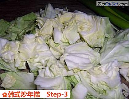 韩式炒年糕做法第三步骤