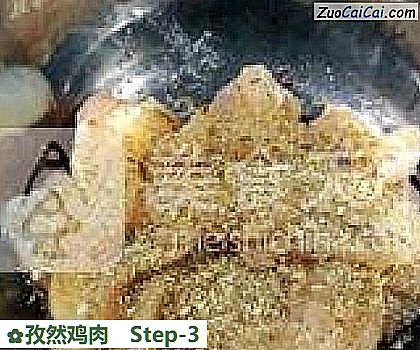 孜然鸡肉做法第三步骤