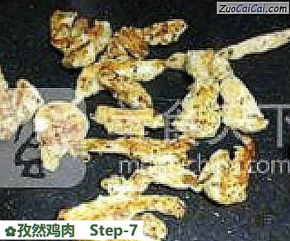 孜然鸡肉做法第七步骤