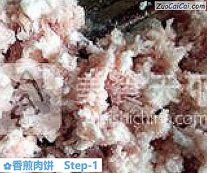 香煎肉饼做法第一步骤