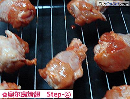 奥尔良烤翅做法第四步骤