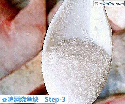 啤酒烧鱼块做法第三步骤