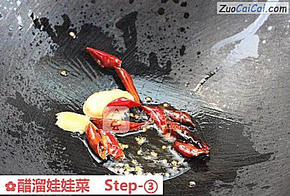 醋溜娃娃菜做法第三步骤