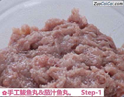 手工鲅鱼丸&茄汁鱼丸做法第一步骤