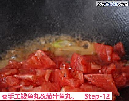 手工鲅鱼丸&茄汁鱼丸做法第十二步骤