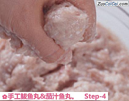手工鲅鱼丸&茄汁鱼丸做法第四步骤