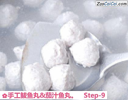 手工鲅鱼丸&茄汁鱼丸做法第九步骤