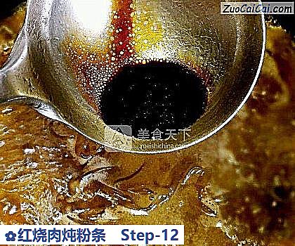 红烧肉炖粉条做法第十二步骤