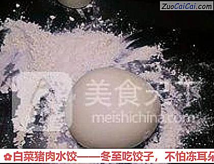 白菜猪肉水饺做法第一步骤