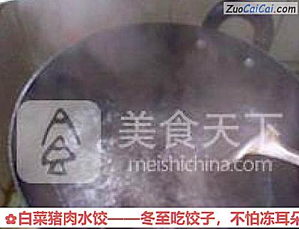 白菜猪肉水饺做法第十二步骤