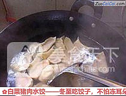 白菜猪肉水饺做法第十三步骤