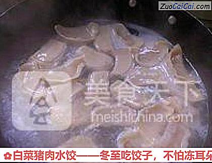 白菜猪肉水饺做法第十四步骤