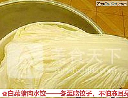 白菜猪肉水饺做法第二步骤