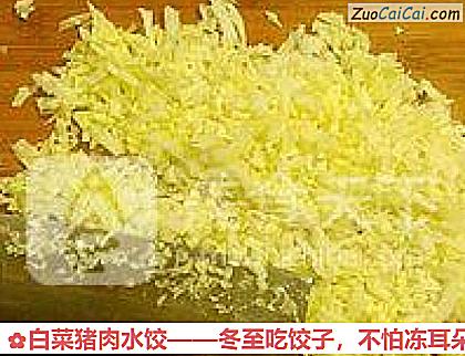 白菜猪肉水饺做法第五步骤