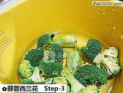 蒜蓉西兰花做法第三步骤