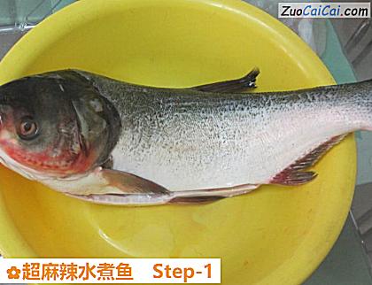 超麻辣水煮鱼做法第一步骤