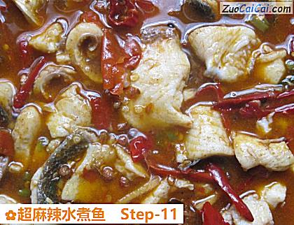 超麻辣水煮鱼做法第十一步骤