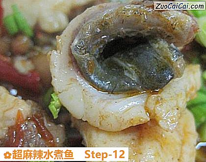 超麻辣水煮鱼做法第十二步骤