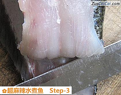 超麻辣水煮鱼做法第三步骤