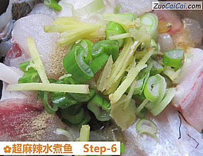 超麻辣水煮鱼做法第六步骤