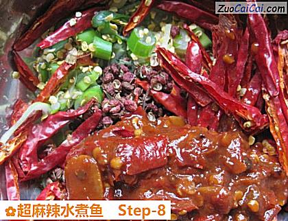 超麻辣水煮鱼做法第八步骤