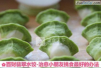 百财翡翠水饺-治愈小朋友挑食最好的办法做法第十三步骤