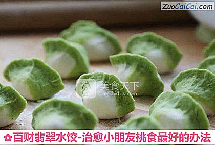 百财翡翠水饺-治愈小朋友挑食最好的办法做法第十五步骤