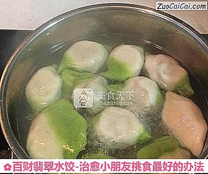 百财翡翠水饺-治愈小朋友挑食最好的办法做法第十六步骤