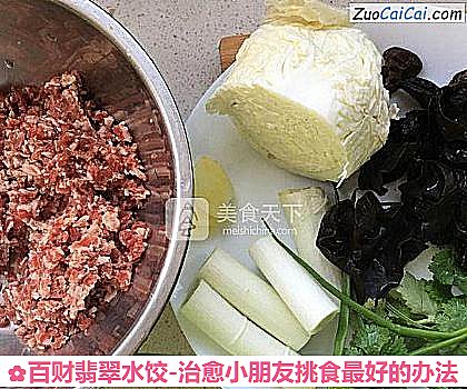 百财翡翠水饺-治愈小朋友挑食最好的办法做法第四步骤