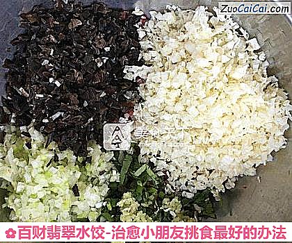 百财翡翠水饺-治愈小朋友挑食最好的办法做法第五步骤