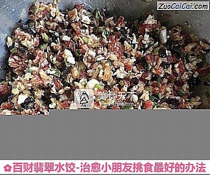 百财翡翠水饺-治愈小朋友挑食最好的办法做法第七步骤