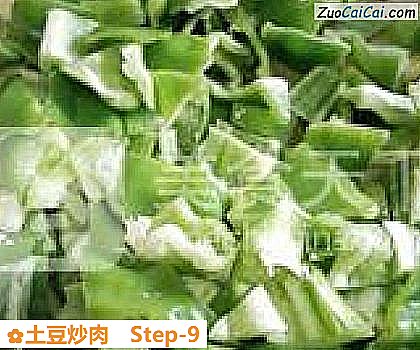 土豆炒肉做法第九步骤