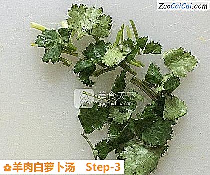 羊肉白萝卜汤做法第三步骤