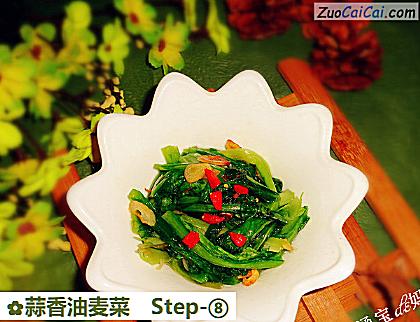 蒜香油麦菜做法第八步骤