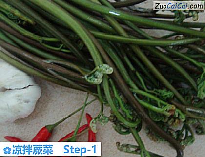 凉拌蕨菜做法第一步骤