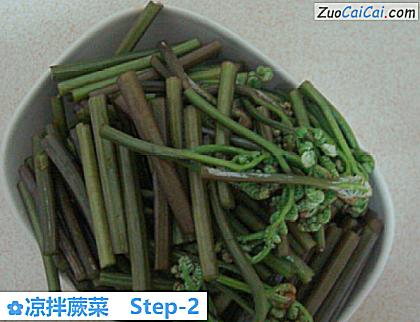 凉拌蕨菜做法第二步骤