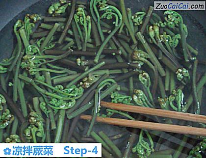 凉拌蕨菜做法第四步骤