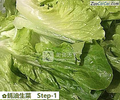 蚝油生菜做法第一步骤