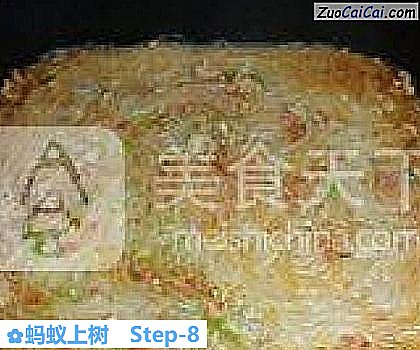 蚂蚁上树做法第八步骤