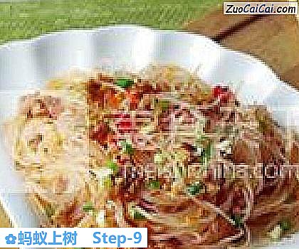 蚂蚁上树做法第九步骤