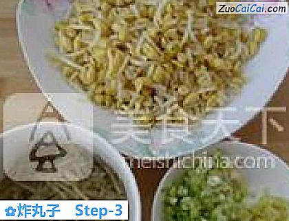 炸丸子做法第三步骤