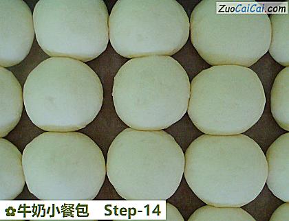 牛奶小餐包做法第十四步骤