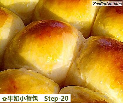 牛奶小餐包做法第二十步骤
