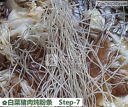 白菜猪肉炖粉条做法第七步骤